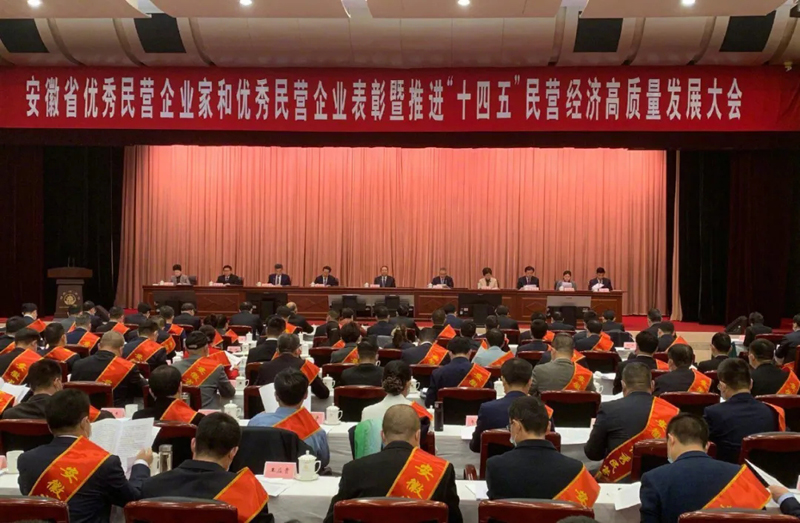 喜讯！Welcome大发科技总经理梁燕被授予“安徽省优秀民营企业家”称号