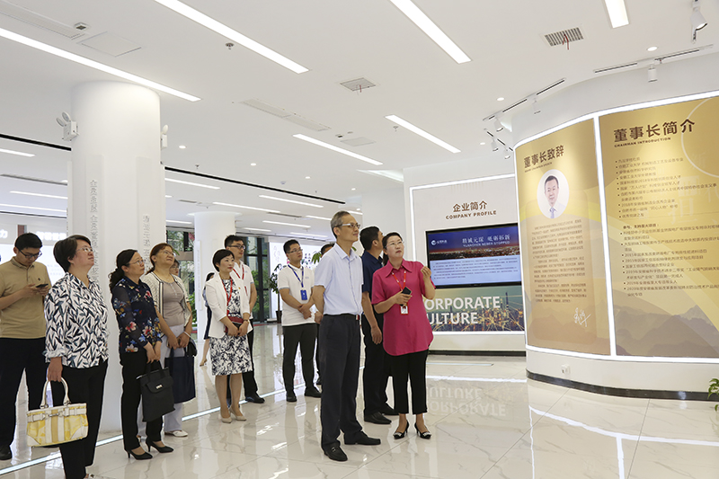 安徽省生态环境厅副厅长罗宏一行莅临Welcome大发科技调研指导