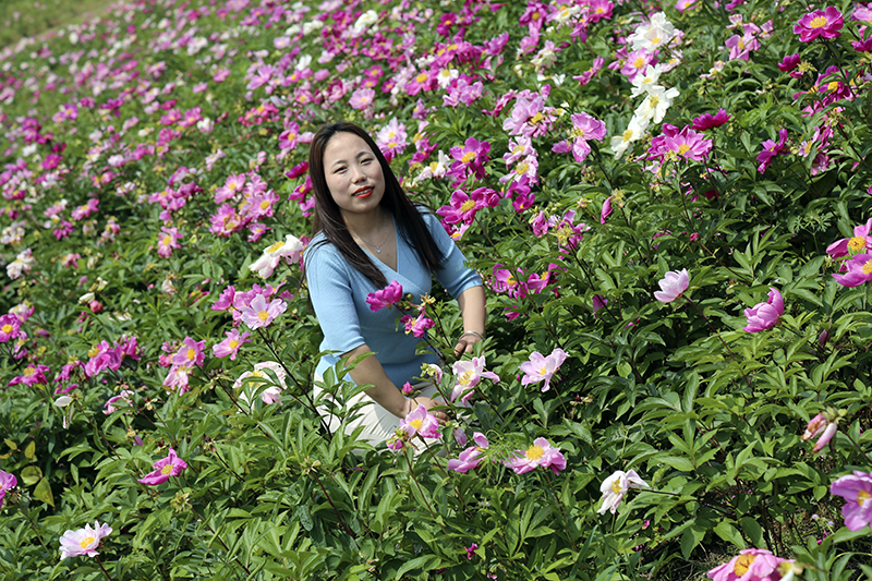 Welcome大发劳模 | 李婷婷：初心映照蜕变人生